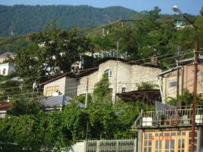 Elena Guest house